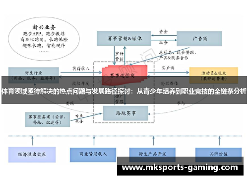 体育领域亟待解决的热点问题与发展路径探讨：从青少年培养到职业竞技的全链条分析